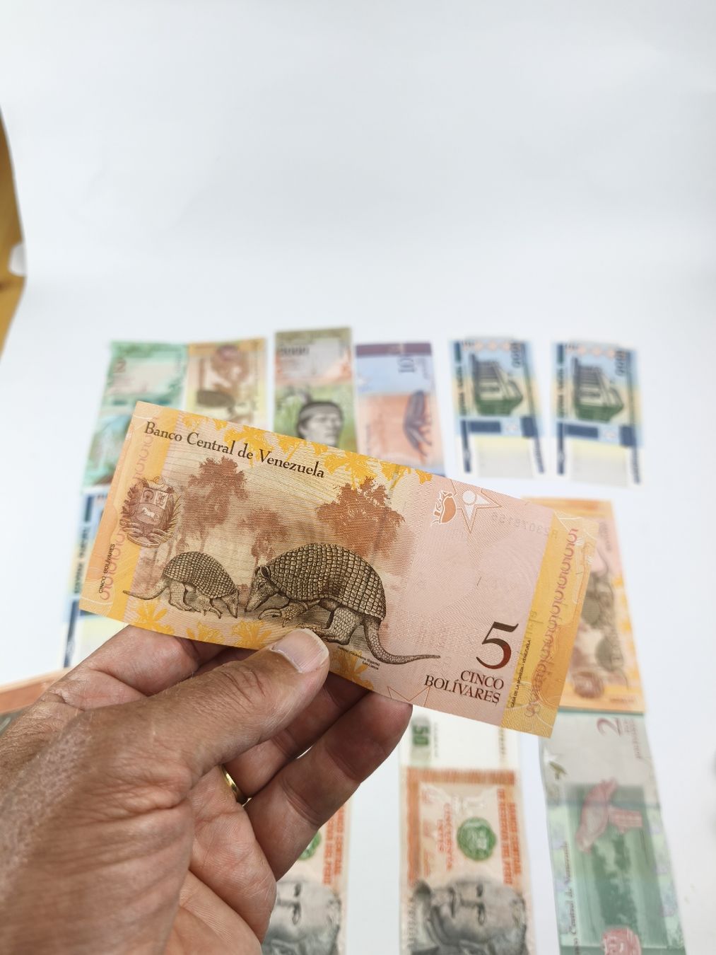 Banconote: Banknoten aus aller Welt – Usato da Bern venduto da Xtralite 4