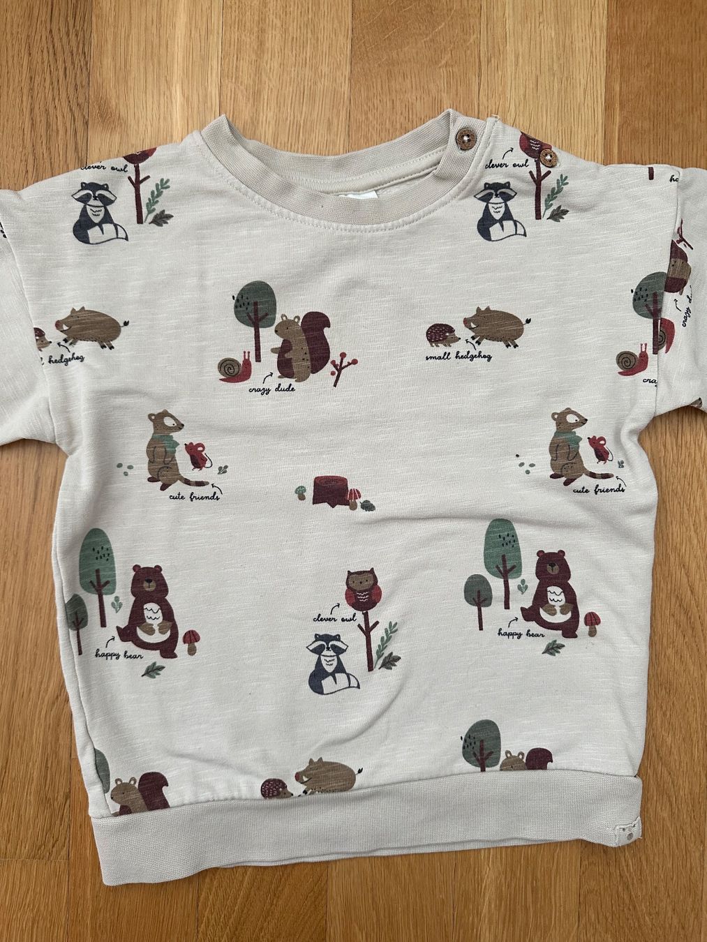 Maglioni & Felpe: Süsser Pullover mit Waldtier-Motiv, Grösse 92 – Nuovo (secondo la descrizione) da Unterägeri venduto da StefanGekko 1