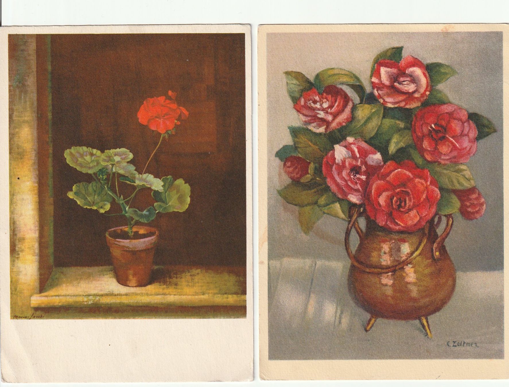 Cartoline postali: Postkarten 1937 / 1955 Blumen-Stillleben Geranien & Kamelien – Usato da St. Gallen venduto da Ricardo_Deals