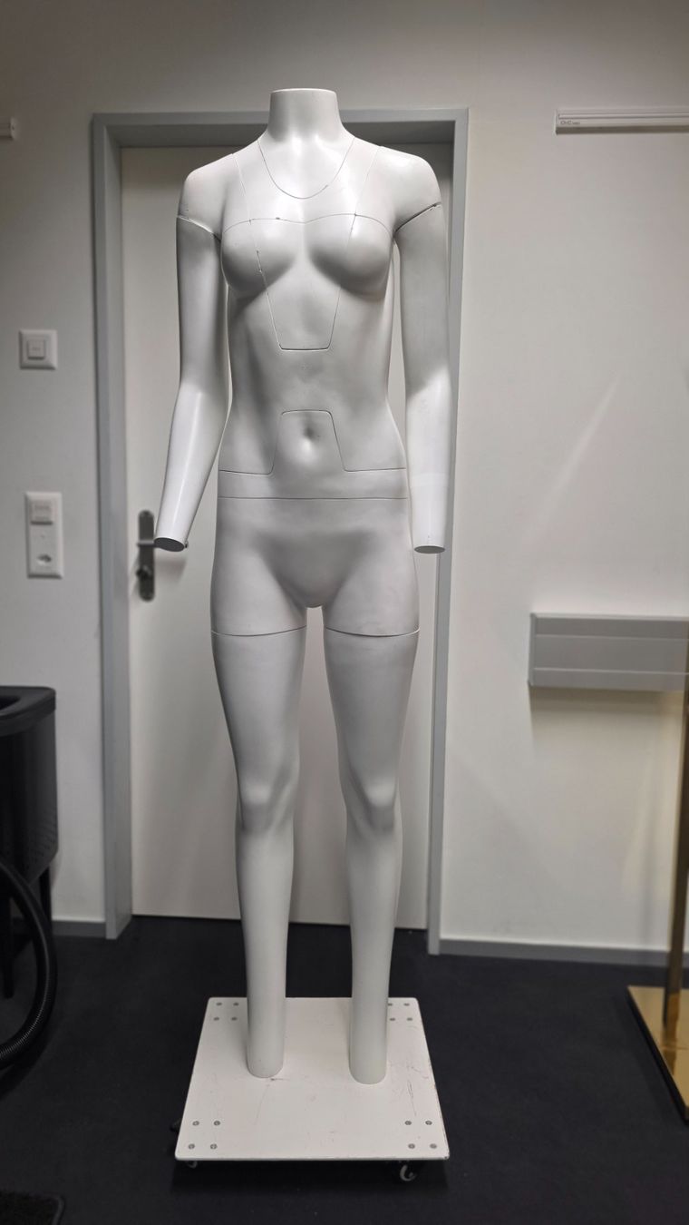 Sonstige Dekorationen & Accessoires: Professionelle Ghost Mannequin Damenfigur – Gebraucht aus Wettingen von EllyJ
