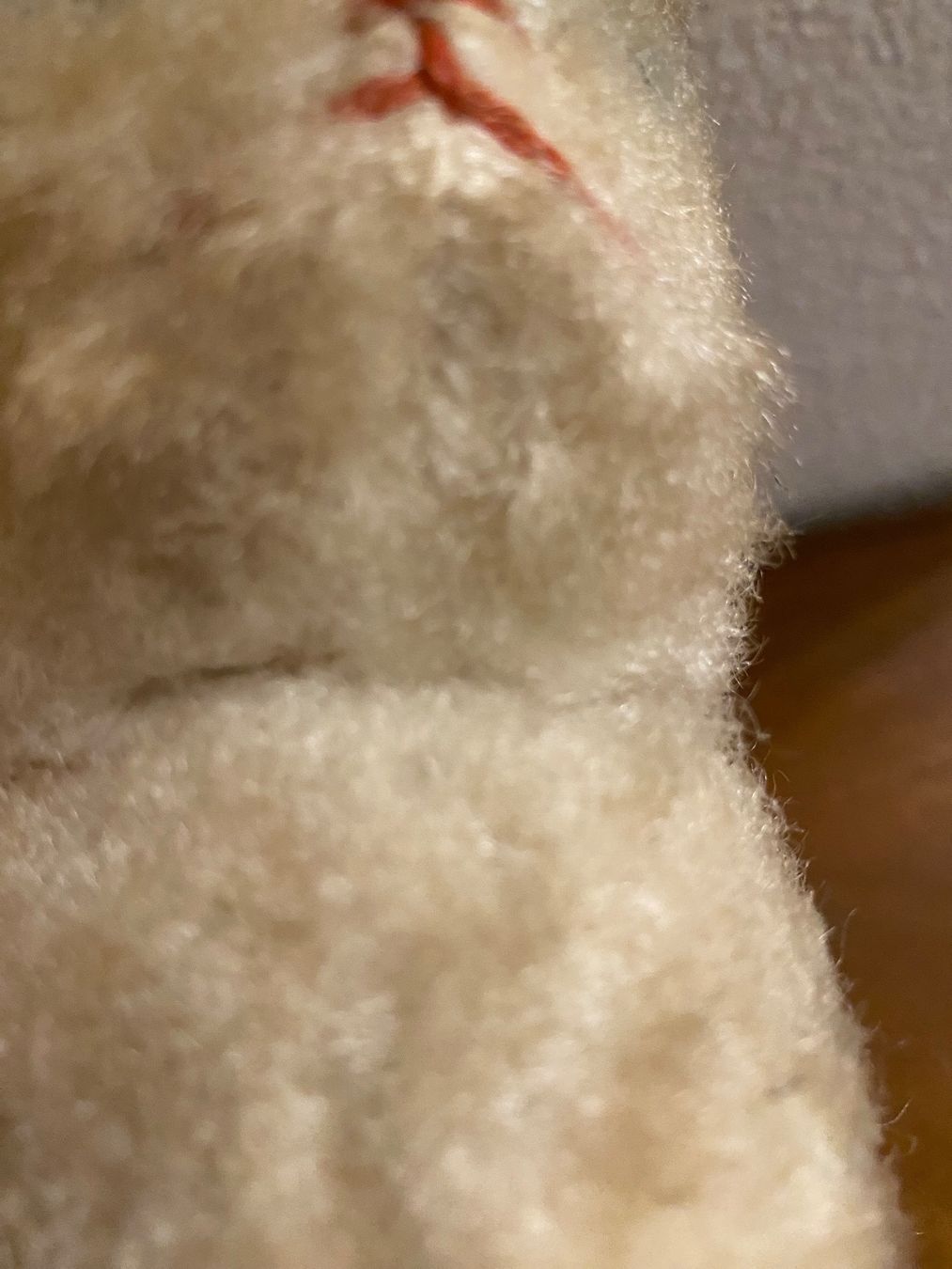Giocattoli: Alte Plüschkatze – Usato da Gossau SG venduto da Dobby1974 4