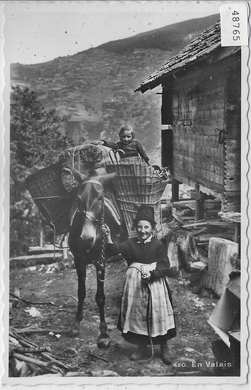 Cartoline postali: En Valais - Zwei Kinder mit Maultier – Usato da Ettingen venduto da Kartenplanet