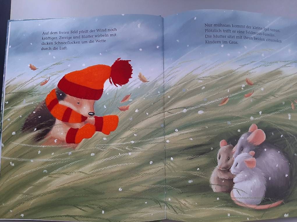 Bücher: Kinderbuch "Der kleine Igel und das grosse Geschenk", ab 3 J – Gebraucht aus Basel von Renato_hirzi 2