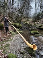 3-teiliges Alphorn in F (neuwertig)