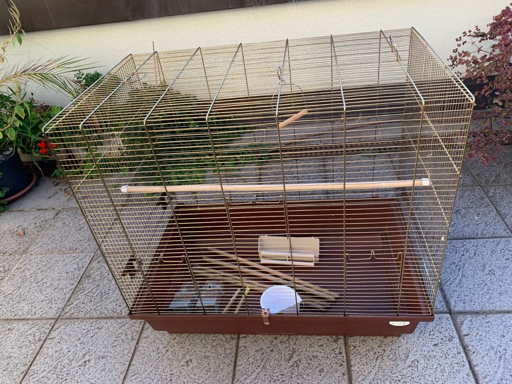 Grosser Vogelkäfig Kaufen auf Ricardo