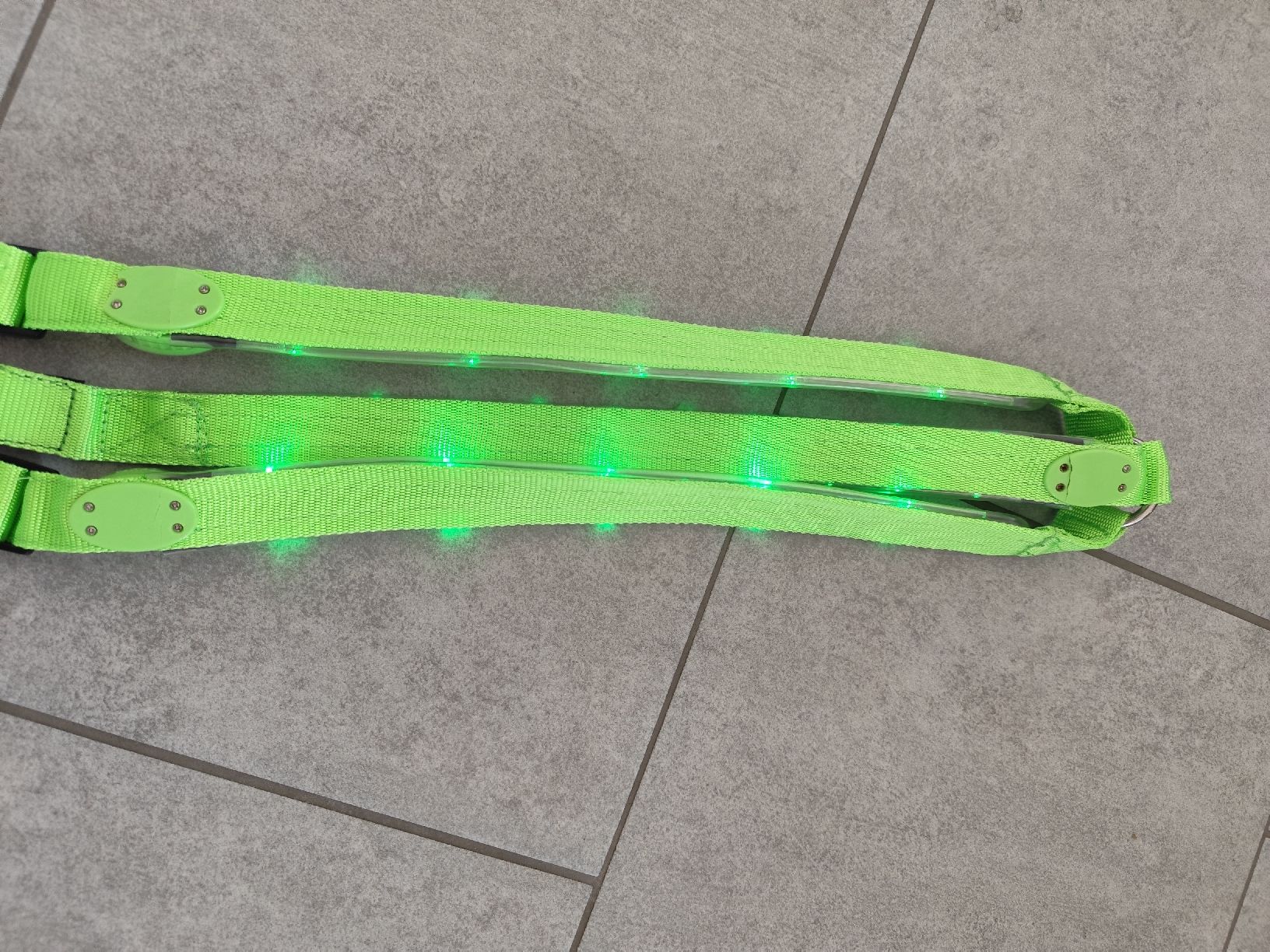 Brides, licols: NEUES LED Vorgeschirr  – Défectueux à Kerzers par sb_12 2