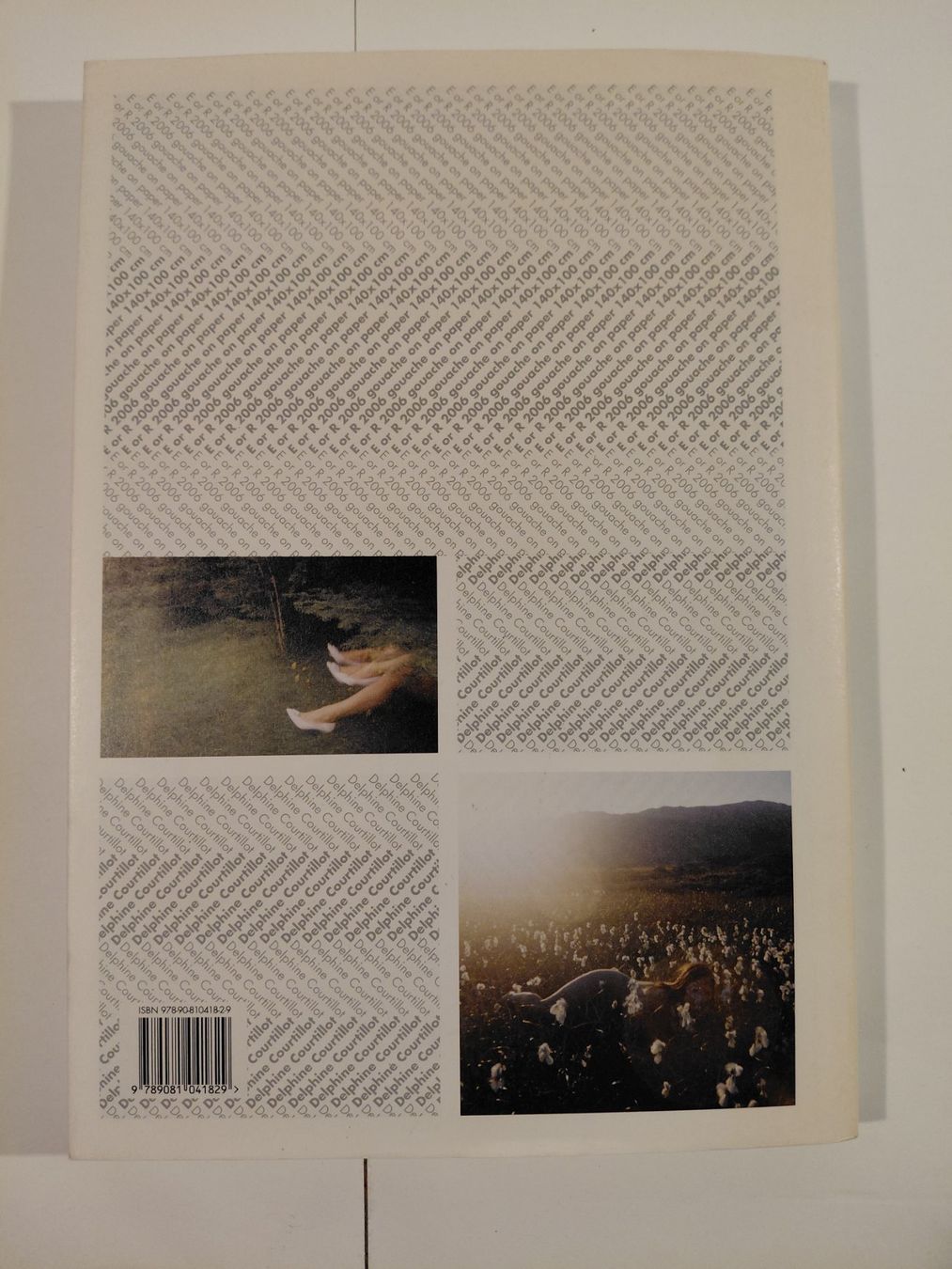 Libri: Delphine Courtillot - Bart van der Heide – Usato da Winterthur venduto da SilverFR 6