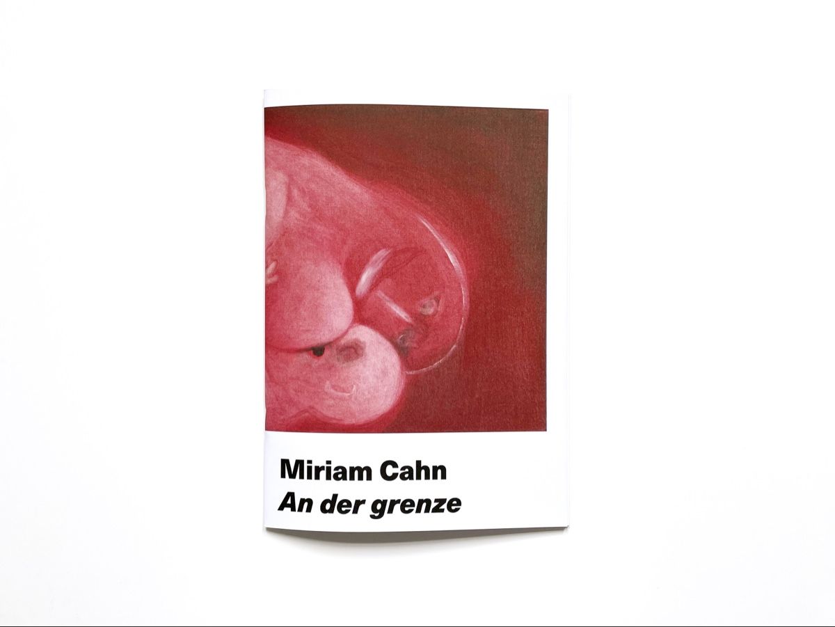 Libri: Miriam Cahn: An der grenze – Nuovo e nell'imballaggio originale da Basel venduto da aharon.no1