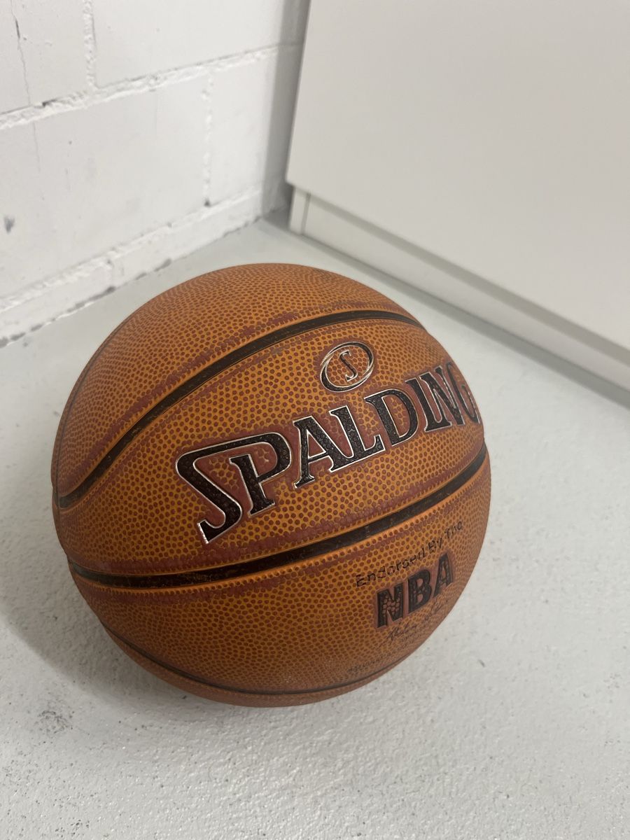 Spalding Palloni: Spalding NBA Platinum Basketball – Usato da Würenlos venduto da jam_mv8g