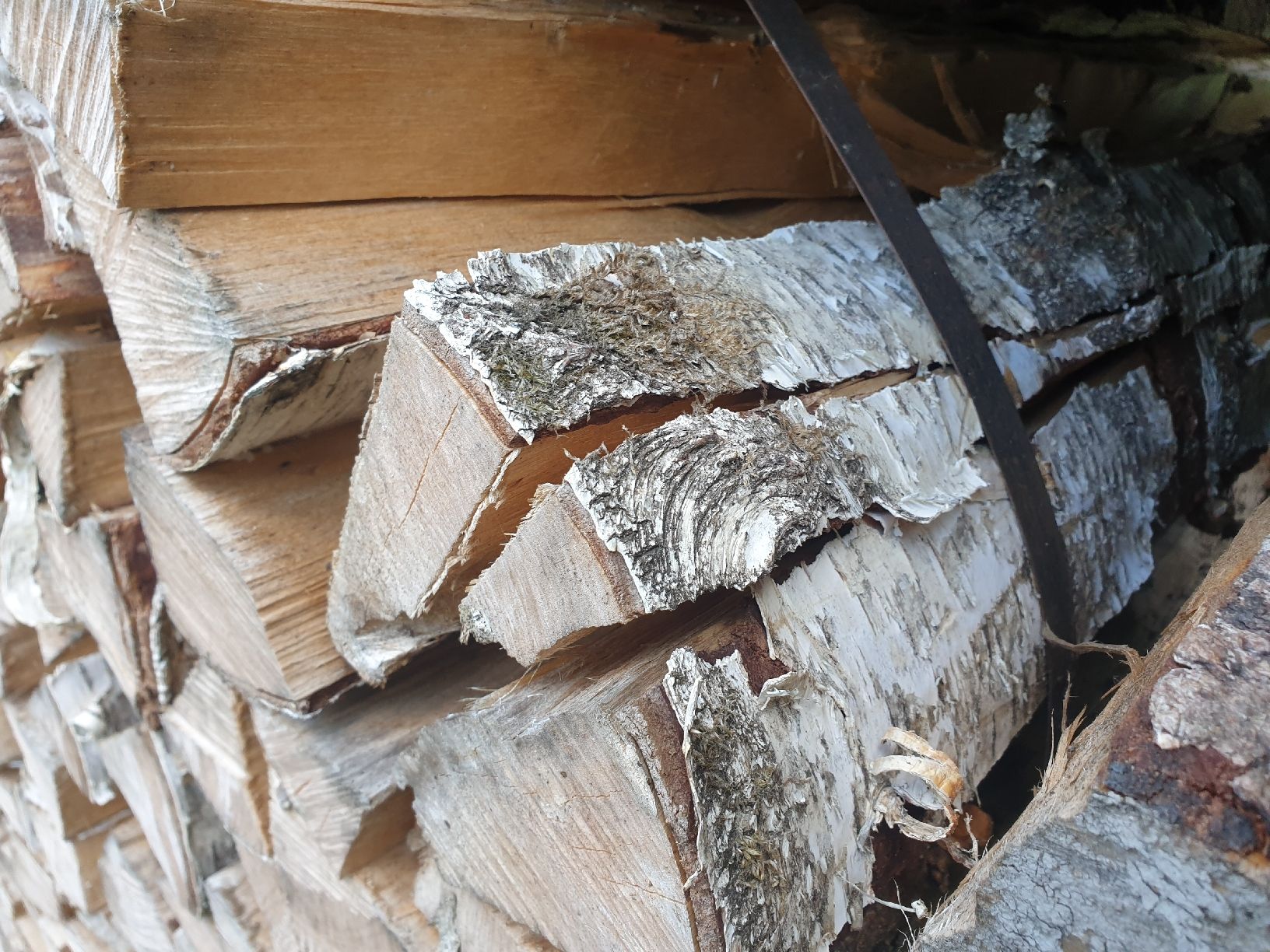 Articoli in legno: Brennholz Birke, Cheminéeholz – Nuovo (secondo la descrizione) da Berneck venduto da serum10