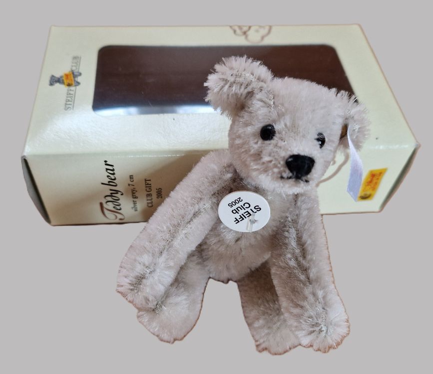 Pocket Hug Mini-Teddybär - Süßer Sorgenbär In Box Mit Spruch