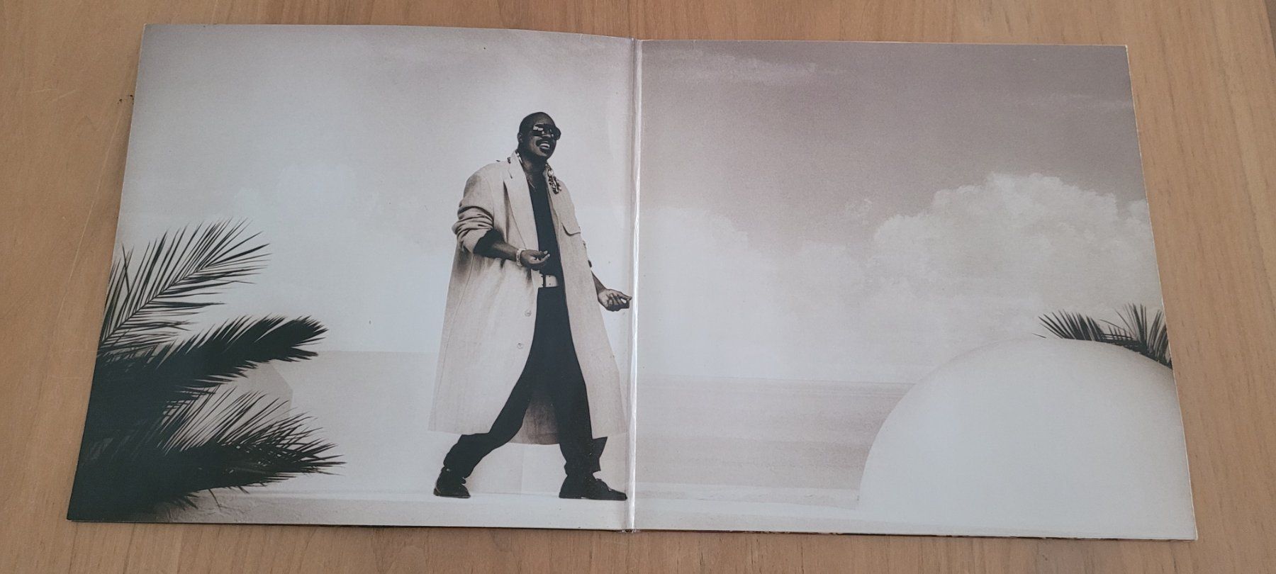 Dischi in vinile: LP Stevie Wonder – Usato da Martigny venduto da MZ-67 1