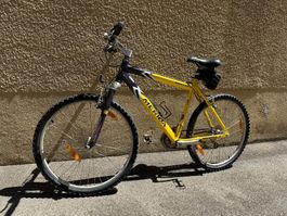 Velo Fahrrad Bici Rahmenhöhe 50 cm gelb