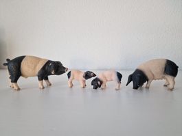 Schleich Schweine Schwäbisch Hällische Familie Bauernhof