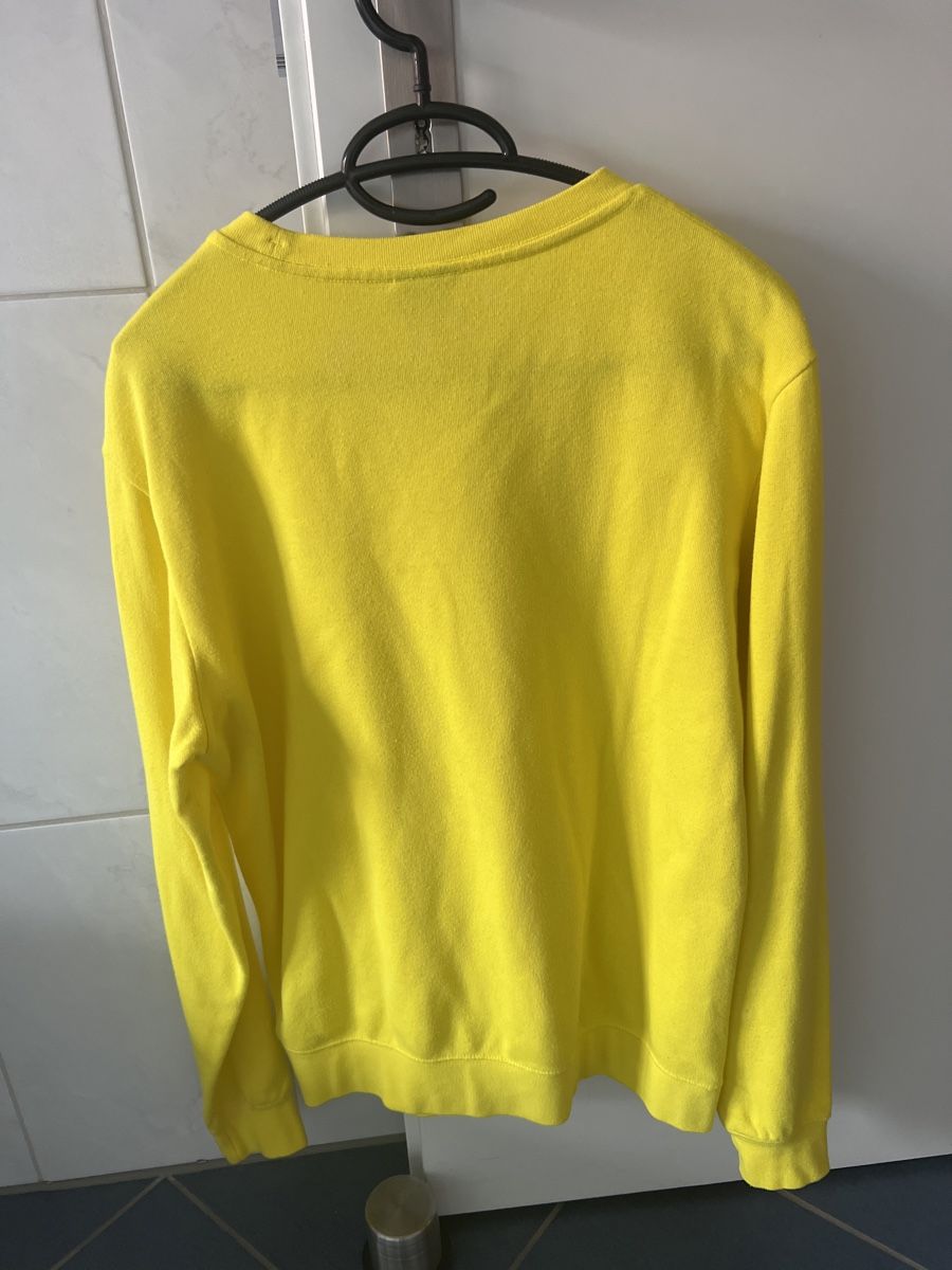 Champion Maglioni & Felpe: Champion Pullover – Usato da Oberengstringen venduto da pri_c8jk 4