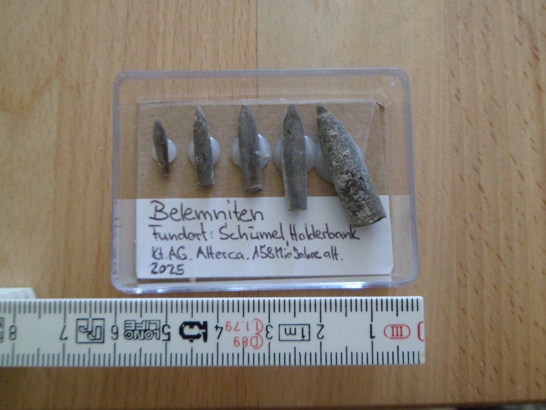 Fossiles: Fossil Schweiz – D'occasion à Affoltern am Albis par Fossil60 1