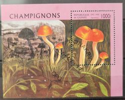 REPUBLIQUE DE GUINEE – PILZE / CHAMPIGNONS