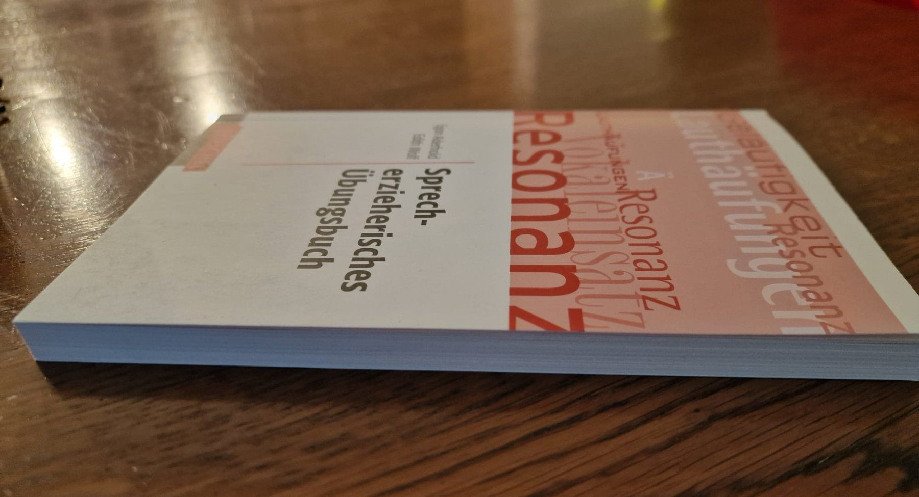 Libri: Sprecherzieherisches Übungsbuch – Nuovo (secondo la descrizione) da Bilten venduto da Ueli77 2