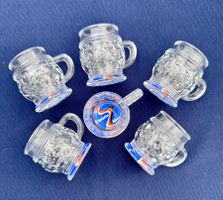 6 Shot Gläser Gläsli Schnappsgläser Bierhumpen