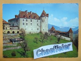 Cité du Gruyères, Le Chateau