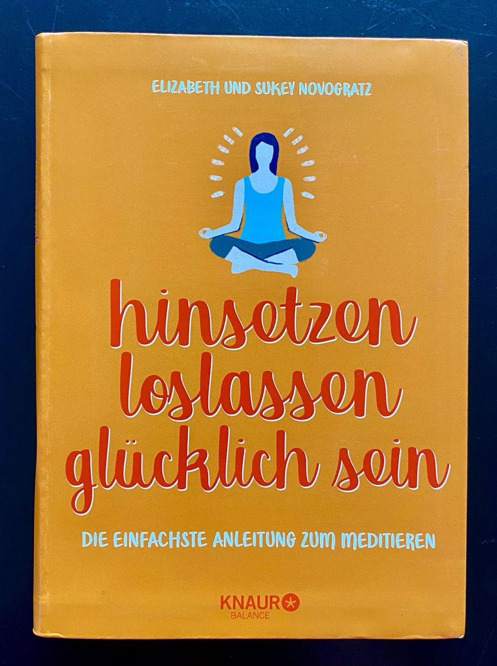 Bücher: HINSETZEN, LOSLASSEN, GLÜCKLICH SEIN – Gebraucht aus Nussbaumen AG von schuba2000