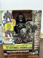 Transformers Gorilla NEU!