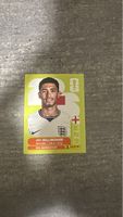 ENG 11 , FIFA WORLD CUP 2026 PANINI 