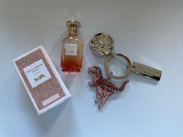 Coach Dreams Sunset duo