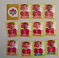 Panini 2026 WM USA CAN Kanada 12 Stk. (Preis pro Stück!!!)