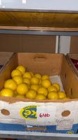 646 Posten Kugel-Kerzen aus Liquidation