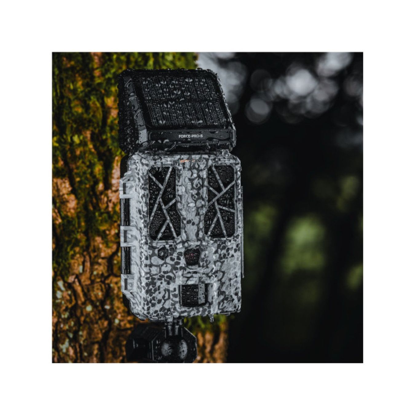 Fotocamera: SPYPOINT Force-Pro-S Wildtierkamera – Nuovo e nell'imballaggio originale da Balsthal venduto da allmedba 5