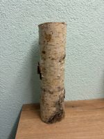 Dekorative Birkenstämme - perfekt für den Herbst. 