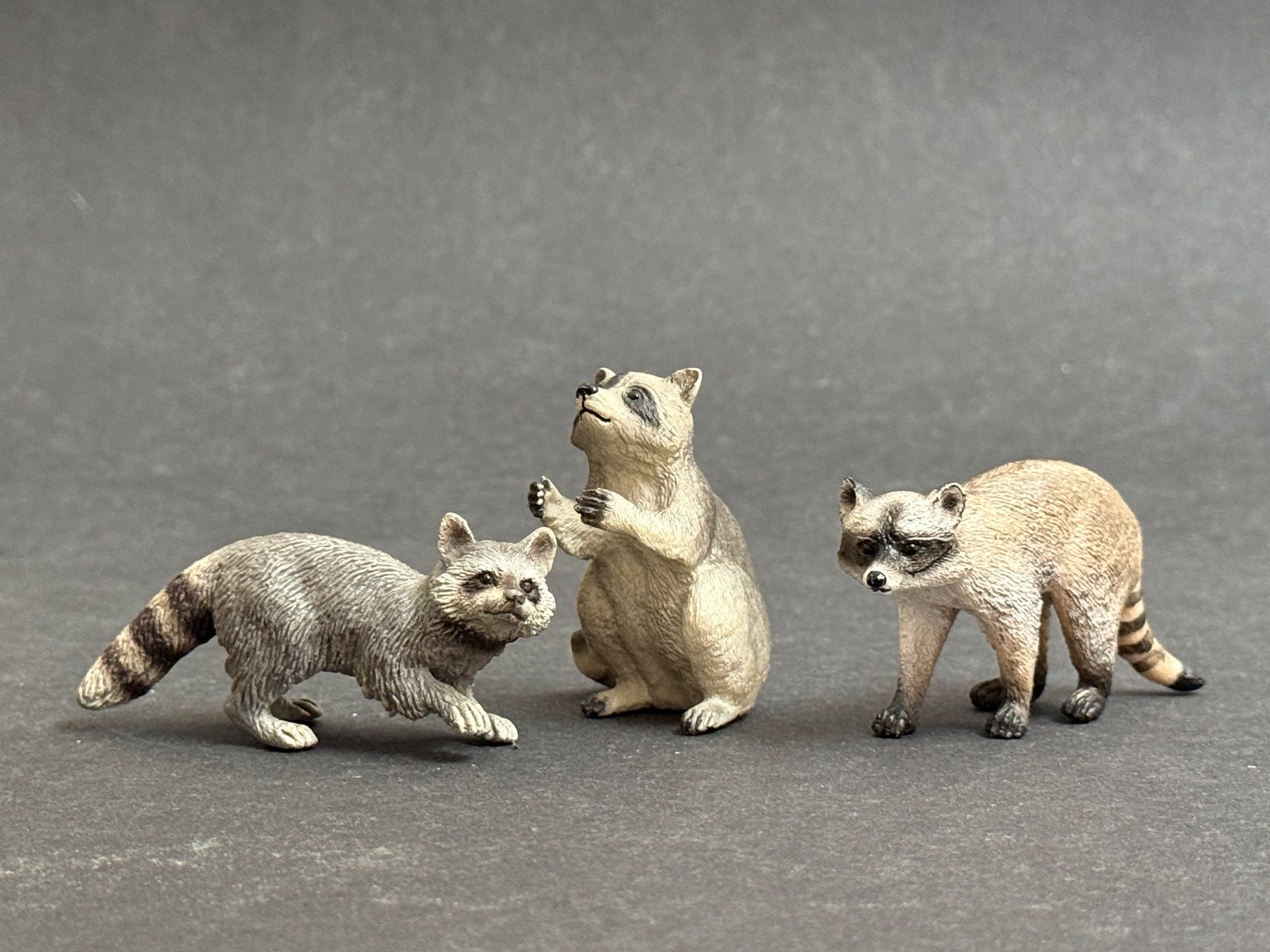 Schleich Statuette: Schleich Waschbär Familie – Usato da Ennetbaden venduto da mapa05