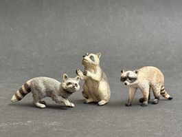 Schleich Waschbär Familie
