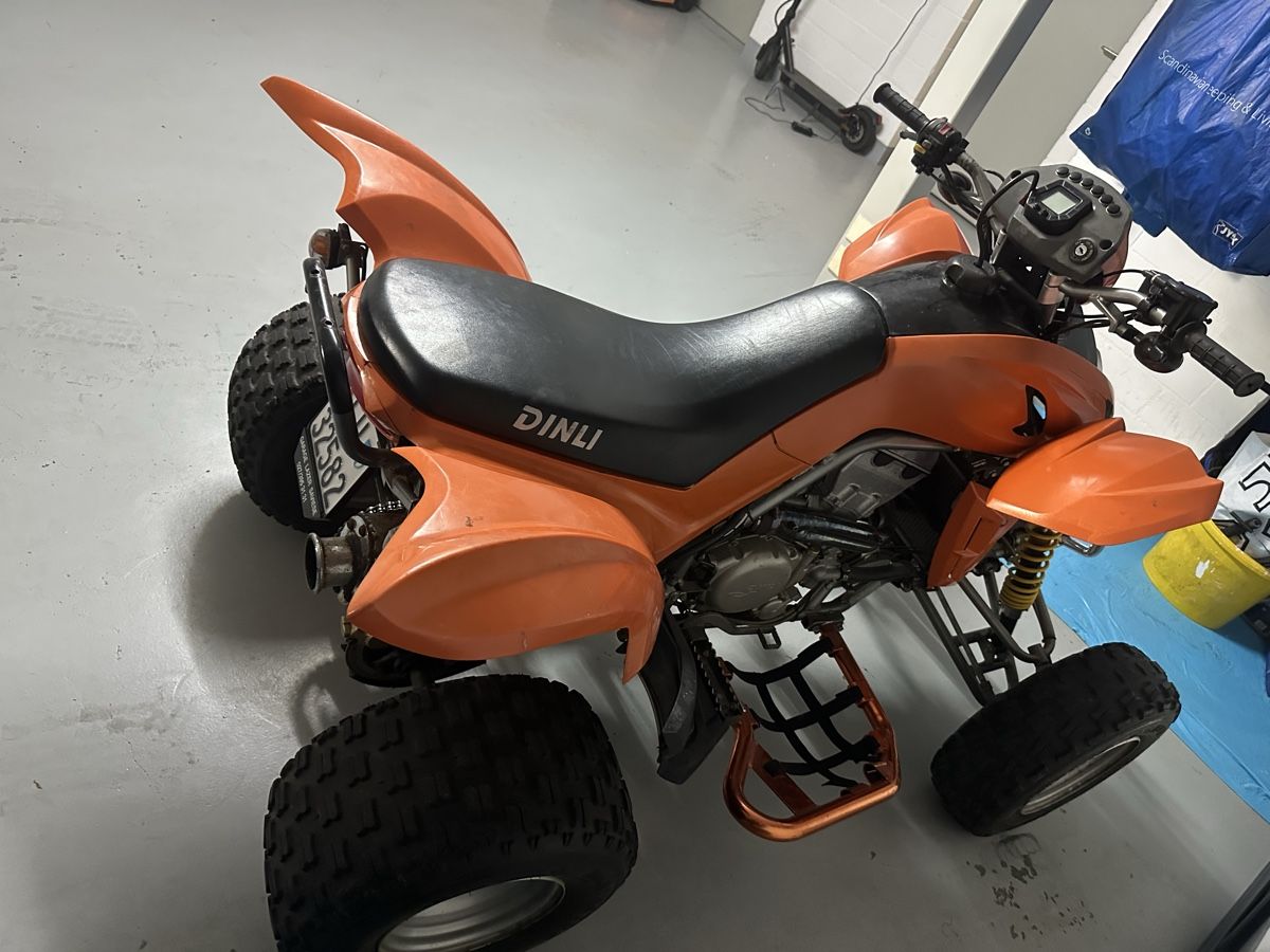 Dinli ATV / Quad: Quad Dinli Dmx 450 2006 – Usato da Geuensee venduto da Besi6232 3