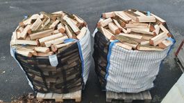 Brennholz Esche