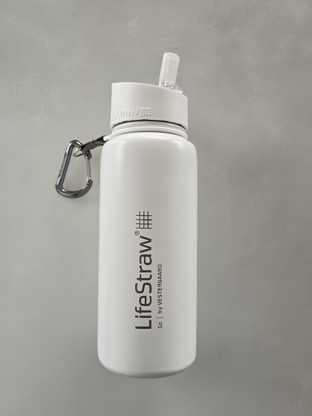 Borracce & Thermos: LIFESTRAW CHROMSTAHL WASSERFILTER FLASCHE 700ML – Nuovo e nell'imballaggio originale da Unterstammheim venduto da P911993