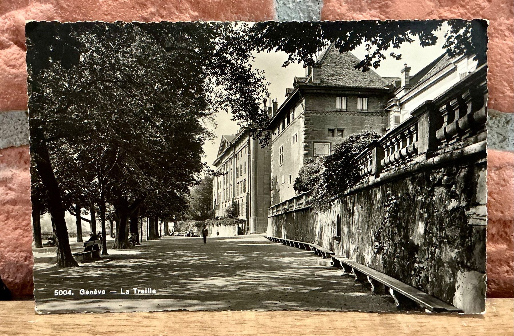 Ansichtskarten: PROMENADE DE LA TREILLE - Genève – Gebraucht aus Root von ENGLAND-TREASURES