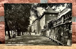 PROMENADE DE LA TREILLE - Genève