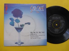 Sad Café – Live In Concert