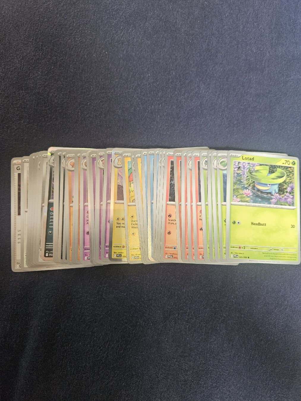 Pokémon Carte collezionabili: Pokemon Phantasmal Flames EN – Nuovo (secondo la descrizione) da Zürich venduto da pintolino