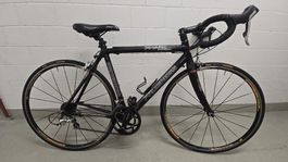 Progress Rennvelo Shimano Mavic Felgen full Carbon 9kg!