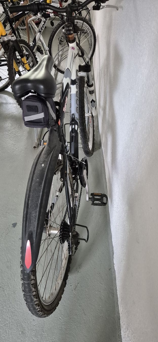 Leopard Biciclette: Leopard Tiger Cat Velo Mountainbike – Usato da Wangen b. Olten venduto da golf89 2