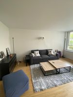 Grauer Hochflor-Teppich – ideal fürs Wohnzimmer