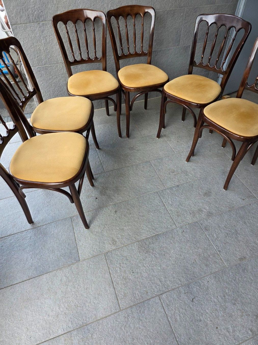 Sedie: 6 elegante Holzstühle Bugholz Buche – Usato da Flums venduto da Flumsantik 1