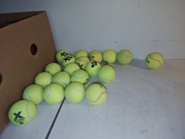 Tennisbälle 20 Stk. von Tretorn Micro X. Sweden. (nov583)