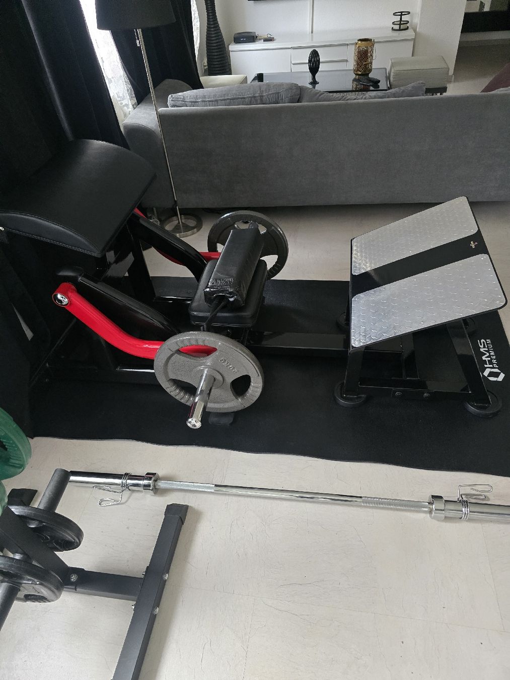 Hometrainer: Hip Thruster Steel-Flex mit Gewichten und Ständer – Usato da Derendingen venduto da S.Skorbi 4