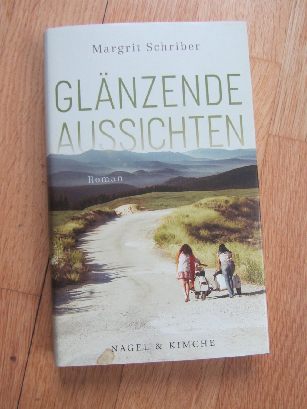 Libri: Margrit Schriber  --  Glänzende Aussichten – Usato da Seengen venduto da mikelele