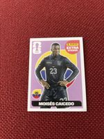 Moisés Caicedo lila 2026