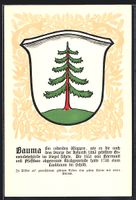 Bauma, Wappen auf Tannen-Ornamenten, Eic